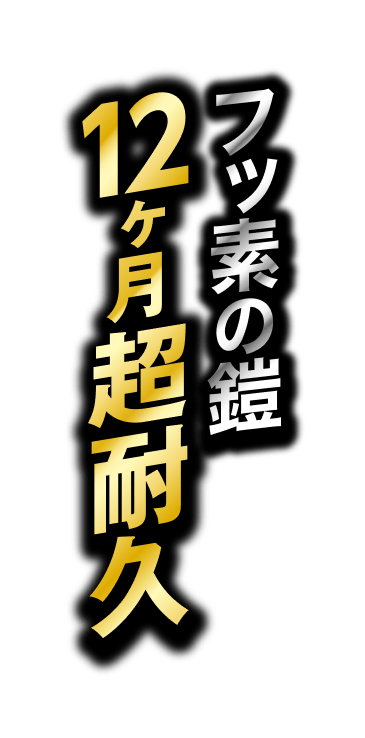 フッ素の鎧 12ヶ月超耐久